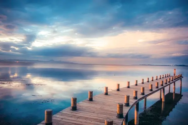 河南大学王敬苹简介