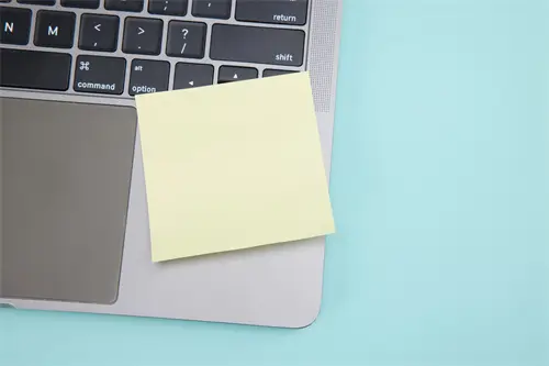 河北大学杨学姐简介